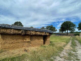 Type de propriété : Ferme Uden  37