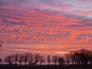Ferienhaus Venhorst Umgebung 29