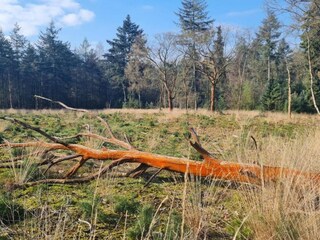 Casa per le vacanze Venhorst Ambiente 33