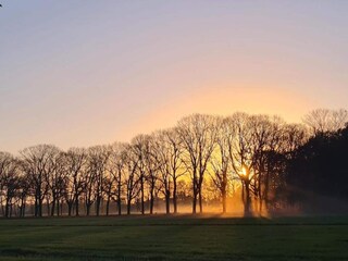 Vakantiehuis Venhorst Omgeving 34