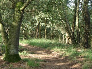Casa per le vacanze Lage Mierde Ambiente 37