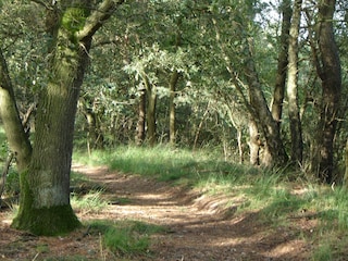 Ferienhaus Lage Mierde Umgebung 37