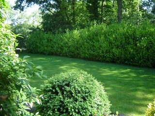 Holiday house Lage Mierde Outdoor Recording 14