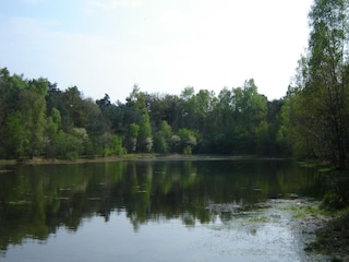 Ferienhaus Lage Mierde Umgebung 40