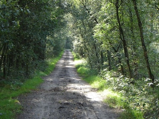 Ferienhaus Lage Mierde Umgebung 41