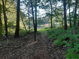 Maison de vacances Lage Mierde Environnement 39