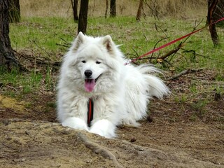 Ferienhaus Riethoven  32