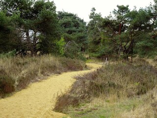 Holiday house Riethoven Environment 24