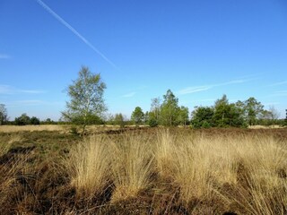 Vakantiehuis Riethoven Omgeving 25