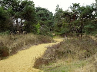 Ferienhaus Riethoven Umgebung 26