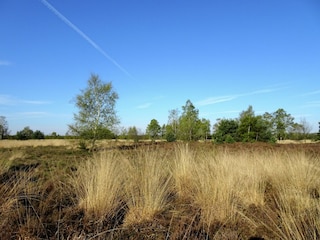 Ferienhaus Riethoven Umgebung 29