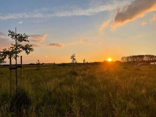 Vakantiehuisje Hamont-Achel Omgeving 35
