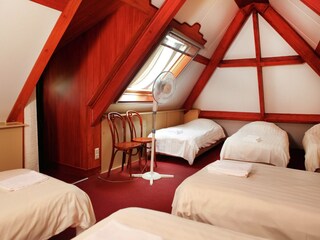 Cottage Asten Features 24