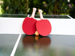 Type de propriété : Chalet Asten  40