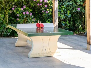 Type de propriété : Chalet Asten  38