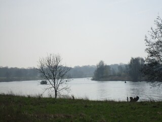 Casa de vacaciones Wellerlooi Entorno 33