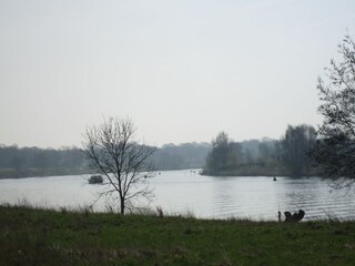 Vakantiehuis Wellerlooi Omgeving 26