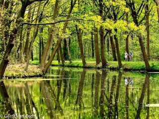 Vakantiehuis Wellerlooi Omgeving 36