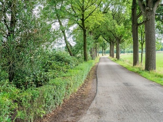Landhaus Meerlo Umgebung 36