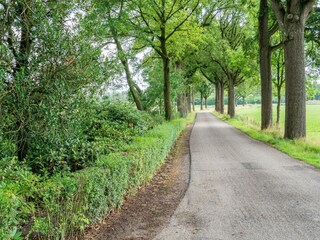 Type de propriété : Chalet Meerlo Environnement 36