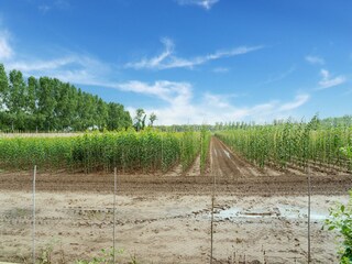 Casale Meerlo Ambiente 37