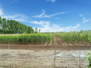 Landhaus Meerlo Umgebung 37