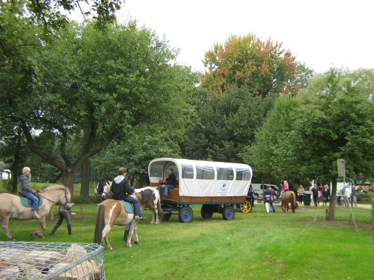 Ferienhaus Heeze-Leende Umgebung 32