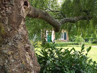 Casa per le vacanze Heeze-Leende Registrazione all'aperto 3