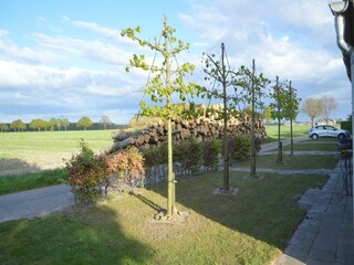 Holiday house Heythuysen Outdoor Recording 8