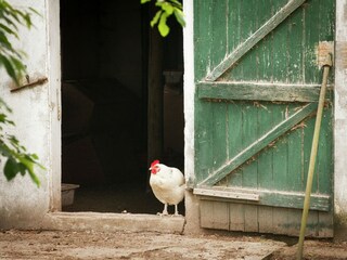 Maison de vacances Heythuysen  34