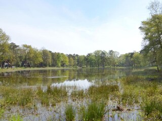 Casa de vacaciones Stramproy Entorno 15