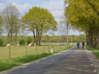 Ferienhaus Stramproy Umgebung 28