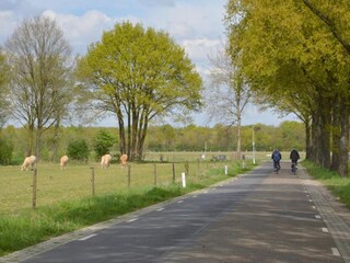 Vakantiehuis Stramproy Omgeving 26