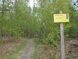 Vakantiehuis Stramproy Omgeving 32