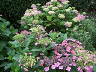 Appartement Vlodrop Environnement 32