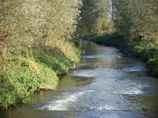 Apartment Vlodrop Umgebung 32