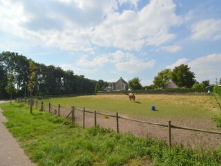 Appartement Vlodrop Environnement 30