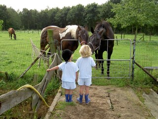 Appartement Vlodrop  36
