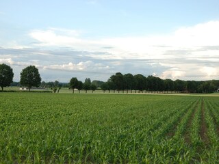 Apartamento Vlodrop Entorno 32