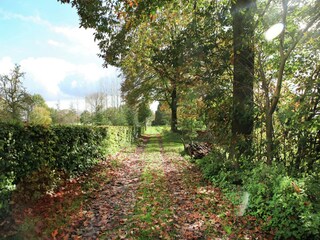 Boerderij Sint Odilienberg Omgeving 33
