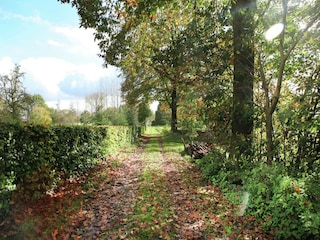 Farmhouse Sint Odilienberg Environment 32