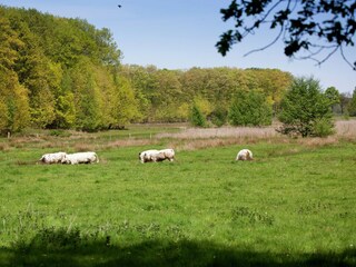 Farmhouse Ohe en Laak Environment 36