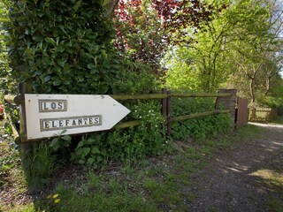 Type de propriété : Ferme Ohe en Laak  40