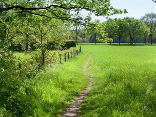 Bauernhof Ohe en Laak Umgebung 24