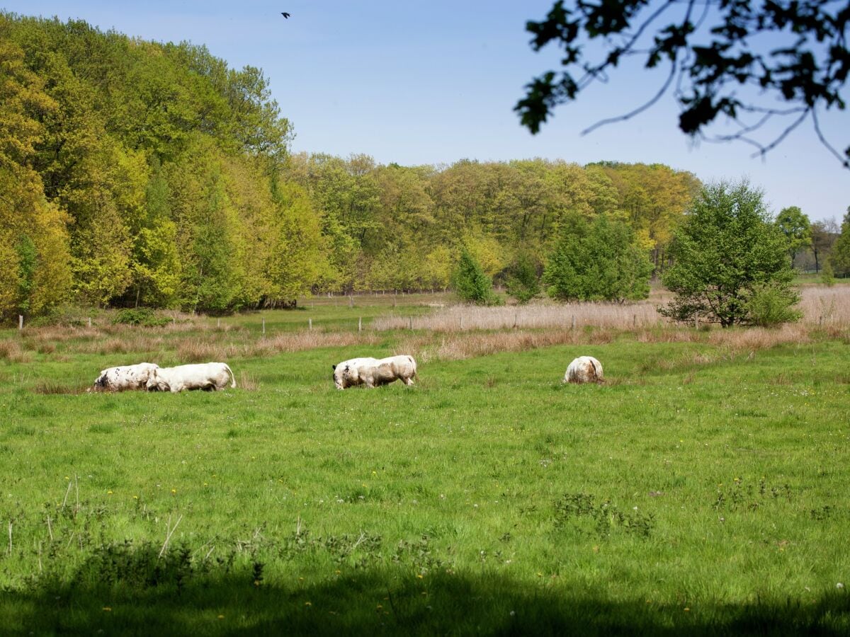 Bauernhof Ohe en Laak Umgebung 24