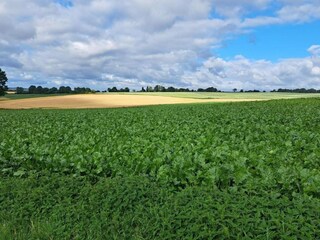 Type de propriété : Ferme Ohe en Laak Environnement 29
