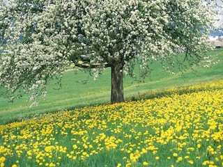 Bauernhof Ohe en Laak Umgebung 37