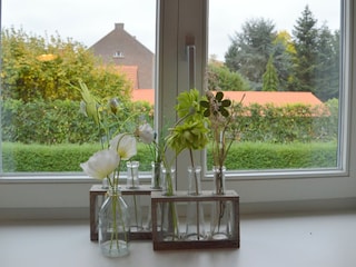 Apartment Roosteren Outdoor Recording 5