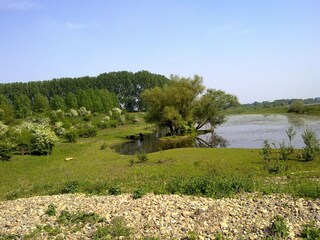 Apartamento Roosteren Entorno 33