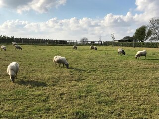 Vakantiehuis Sittard Omgeving 28